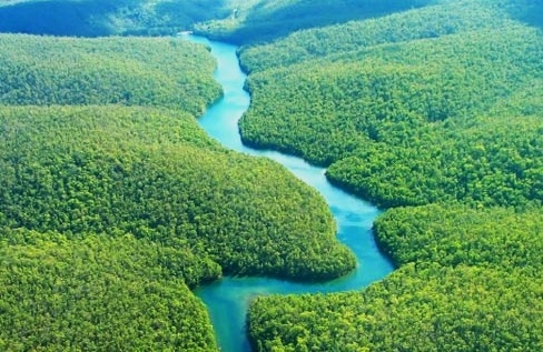 Le 10 foreste più grandi del mondo