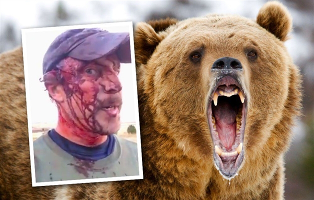 10 sfaturi pentru a supraviețui unui atac de urs