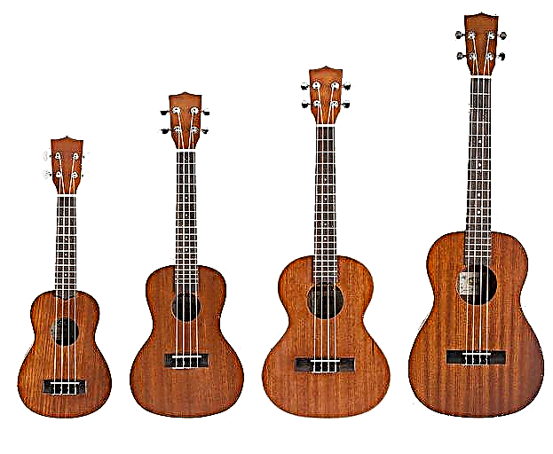 Bagaimana untuk memilih ukulele yang betul