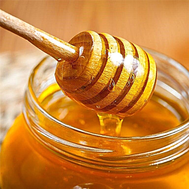 Como o mel ajuda a melhorar sua beleza